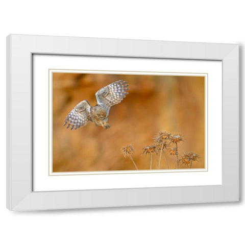 Careful White Modern Wood Framed Art Print with Double Matting by Rudaeff, Pablo