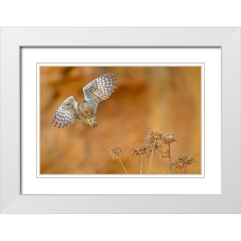 Careful White Modern Wood Framed Art Print with Double Matting by Rudaeff, Pablo