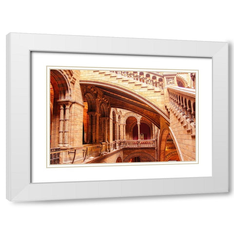 In Natural History Museum White Modern Wood Framed Art Print with Double Matting by Kogan, Anna