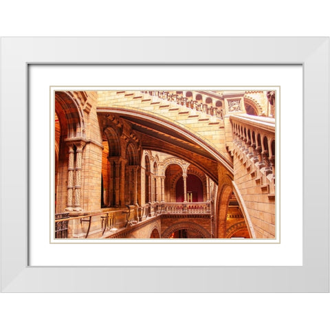 In Natural History Museum White Modern Wood Framed Art Print with Double Matting by Kogan, Anna