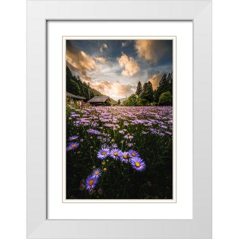 Flowers That Bloom Only Here White Modern Wood Framed Art Print with Double Matting by Matsubara, Hiroki