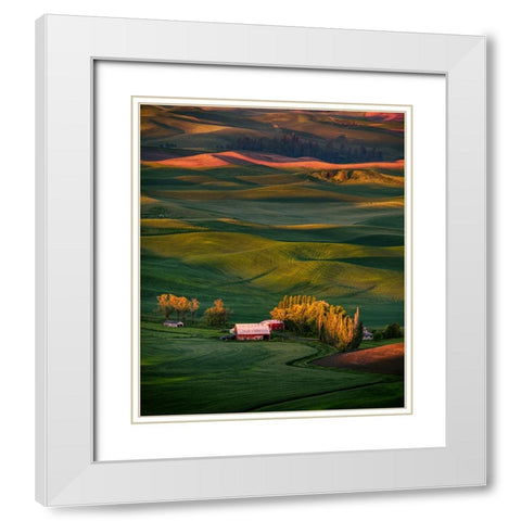 Wheat Field 3 White Modern Wood Framed Art Print with Double Matting by Sheng, Alice