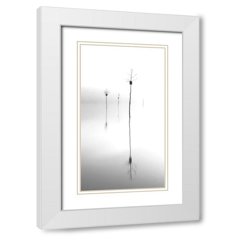 Trees White Modern Wood Framed Art Print with Double Matting by Zhang, Mei