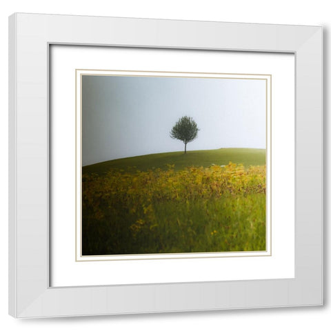 A Summer Day In August White Modern Wood Framed Art Print with Double Matting by Wasinger, Renate
