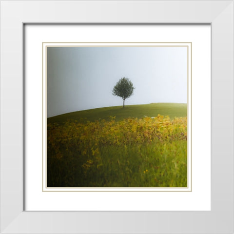 A Summer Day In August White Modern Wood Framed Art Print with Double Matting by Wasinger, Renate
