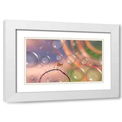 Last Rays Of Sun... White Modern Wood Framed Art Print with Double Matting by Dufour, Thierry