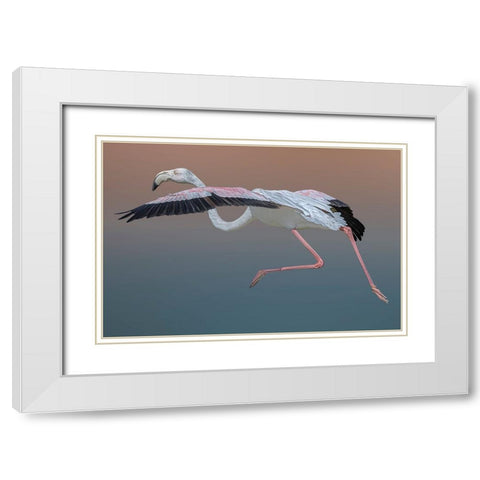 Flamingo Escape White Modern Wood Framed Art Print with Double Matting by Eman Elghazzawy, Dr.