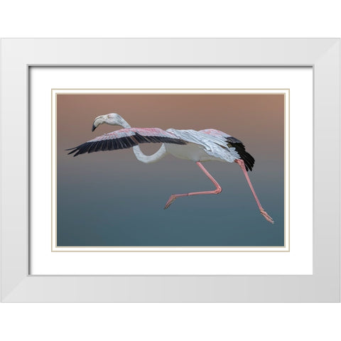 Flamingo Escape White Modern Wood Framed Art Print with Double Matting by Eman Elghazzawy, Dr.