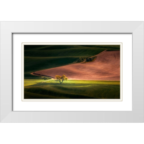 EobcÂ”D White Modern Wood Framed Art Print with Double Matting by Fengying Long