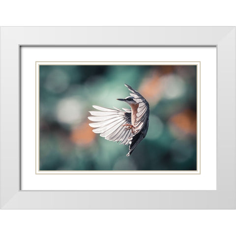 Dynamic Wings White Modern Wood Framed Art Print with Double Matting by Colemont, Niki