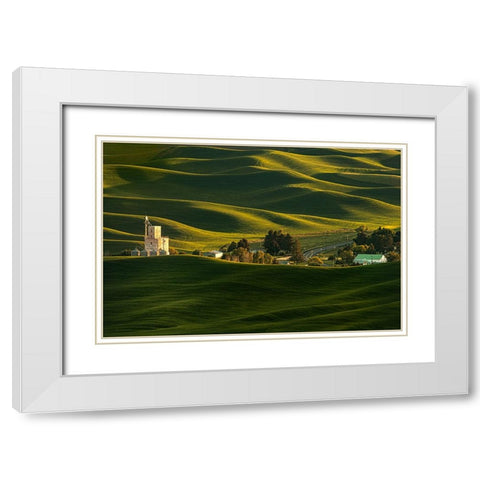 Palouse Wheat Fields White Modern Wood Framed Art Print with Double Matting by Dickau, Kristel
