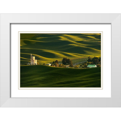 Palouse Wheat Fields White Modern Wood Framed Art Print with Double Matting by Dickau, Kristel