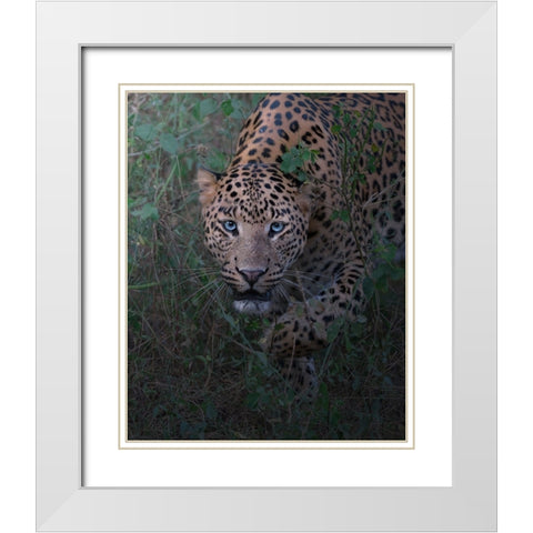 Seizing Of The Soul White Modern Wood Framed Art Print with Double Matting by Rawat, Chaitanya