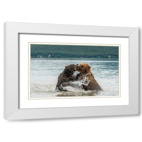 Quarrelsome Friends White Modern Wood Framed Art Print with Double Matting by Damico, Giuseppe