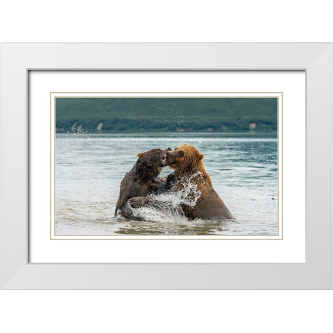 Quarrelsome Friends White Modern Wood Framed Art Print with Double Matting by Damico, Giuseppe