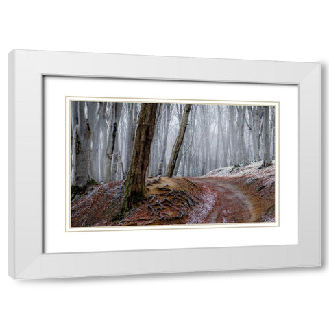 Forest Between Fall And Winter With Rusty Leaves And A Leading Path White Modern Wood Framed Art Print with Double Matting by Oprea, Vio