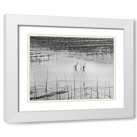 Catching Small Shrimp 2 White Modern Wood Framed Art Print with Double Matting by Muliani Hartojo, Angela