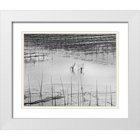 Catching Small Shrimp 2 White Modern Wood Framed Art Print with Double Matting by Muliani Hartojo, Angela