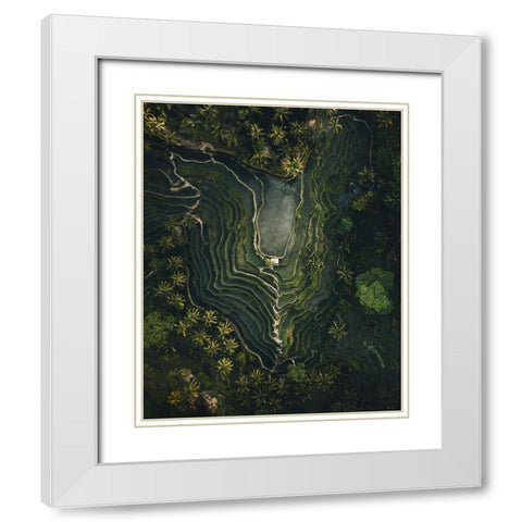 Rice Terrace White Modern Wood Framed Art Print with Double Matting by Ziomek, Witold