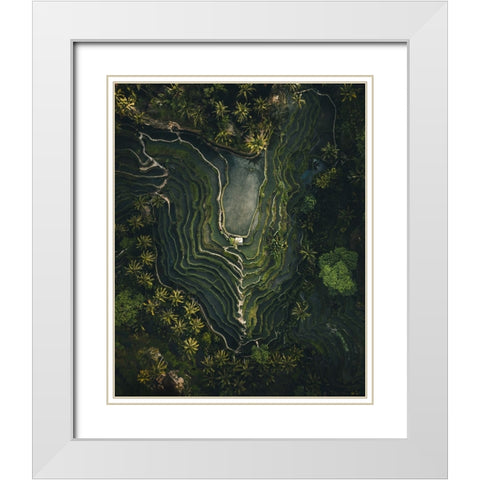 Rice Terrace White Modern Wood Framed Art Print with Double Matting by Ziomek, Witold