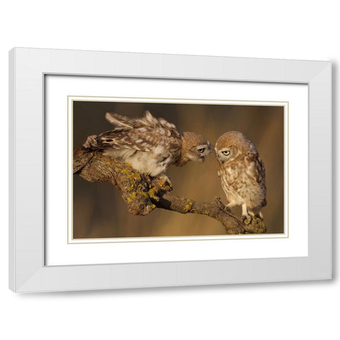 Listen To Me White Modern Wood Framed Art Print with Double Matting by Manusevich, David