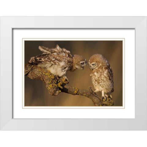 Listen To Me White Modern Wood Framed Art Print with Double Matting by Manusevich, David