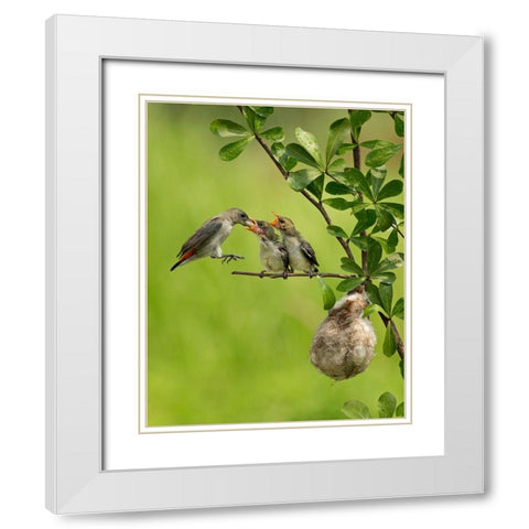 MotherS Love 2 White Modern Wood Framed Art Print with Double Matting by Muliani Hartojo, Angela