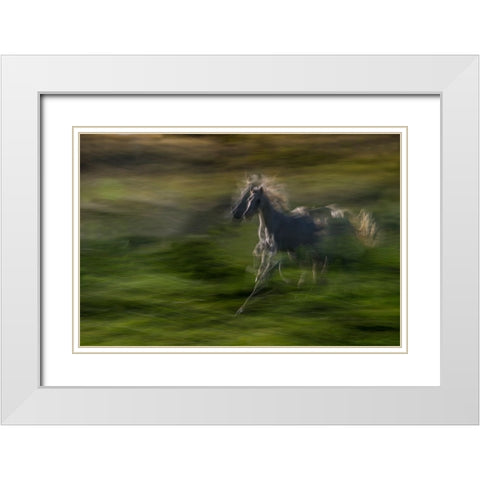 Galloping White Modern Wood Framed Art Print with Double Matting by Malovrh, Milan