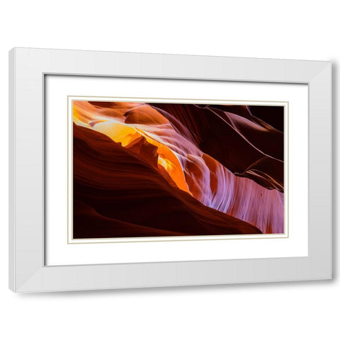 Nature Magic White Modern Wood Framed Art Print with Double Matting by Tan, June