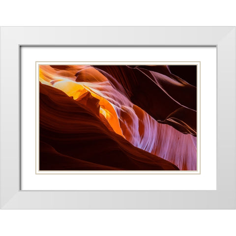 Nature Magic White Modern Wood Framed Art Print with Double Matting by Tan, June