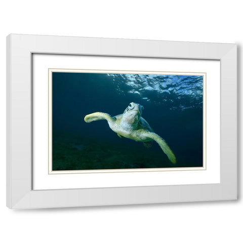 Airplane White Modern Wood Framed Art Print with Double Matting by Melesan, Serge