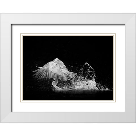 N/A White Modern Wood Framed Art Print with Double Matting by Li, Alex