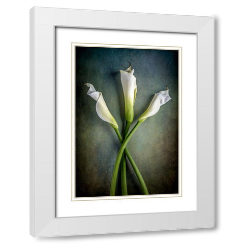 Tower Of Calla White Modern Wood Framed Art Print with Double Matting by Berberich, Matthew