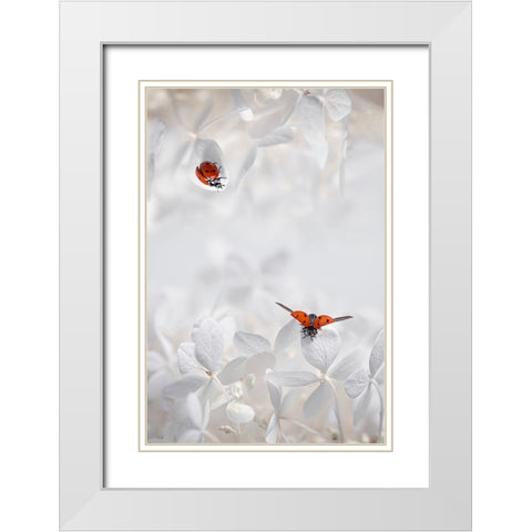 Ladybug Among Flowers White Modern Wood Framed Art Print with Double Matting by Jacobs, Lydia