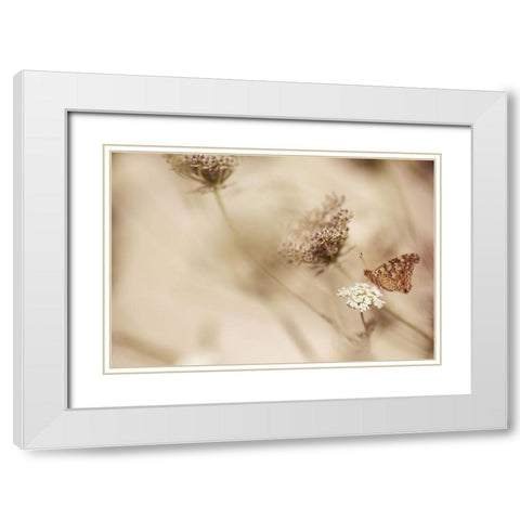 Butterfly White Modern Wood Framed Art Print with Double Matting by van Deelen, Ellen