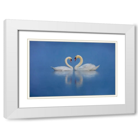Swans Love White Modern Wood Framed Art Print with Double Matting by Liu, Wei