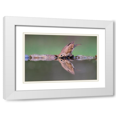 Drinking White Modern Wood Framed Art Print with Double Matting by Zuo, Jun