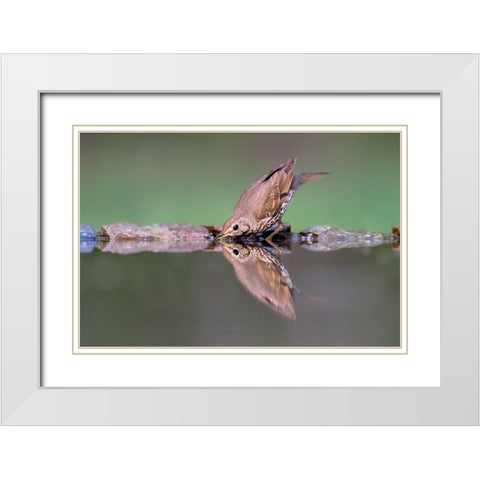 Drinking White Modern Wood Framed Art Print with Double Matting by Zuo, Jun