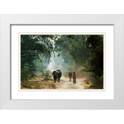 On The Road White Modern Wood Framed Art Print with Double Matting by Damico, Giuseppe