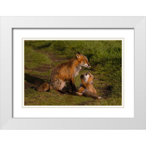 Mom Listen To Me White Modern Wood Framed Art Print with Double Matting by Donnahom