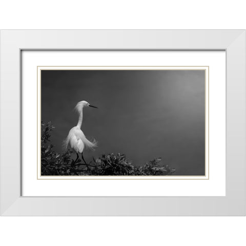 Head-Turner White Modern Wood Framed Art Print with Double Matting by Pan, Yi