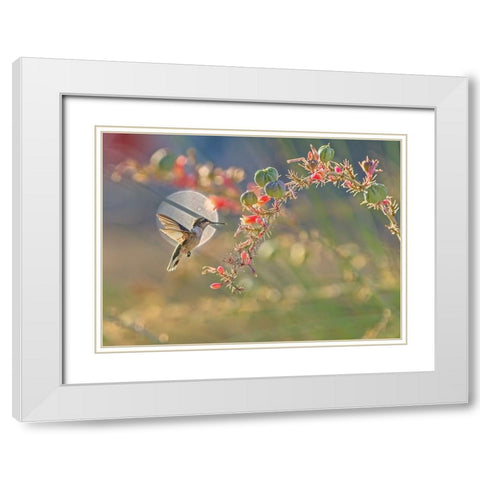 N/A White Modern Wood Framed Art Print with Double Matting by Li, Alex