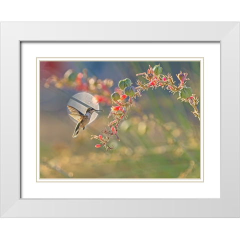 N/A White Modern Wood Framed Art Print with Double Matting by Li, Alex