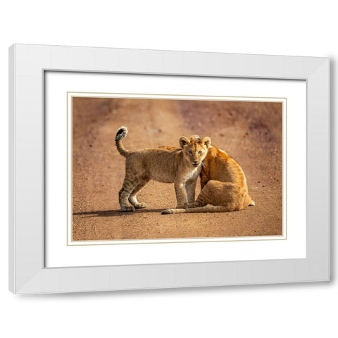 CURIOUS White Modern Wood Framed Art Print with Double Matting by Marx, Jaco