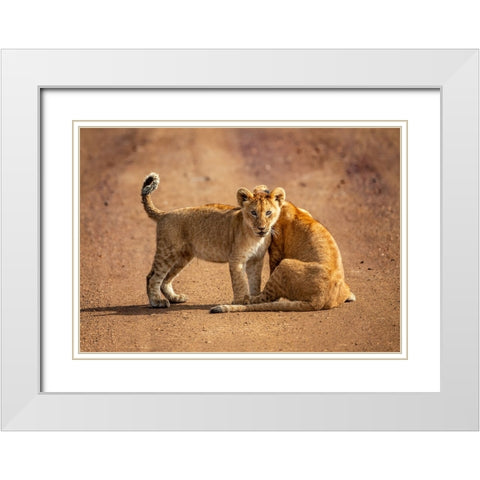 CURIOUS White Modern Wood Framed Art Print with Double Matting by Marx, Jaco