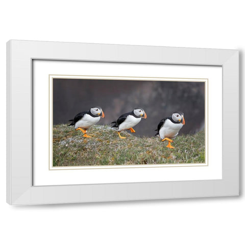 Left-Right-Left White Modern Wood Framed Art Print with Double Matting by Fu, Molly