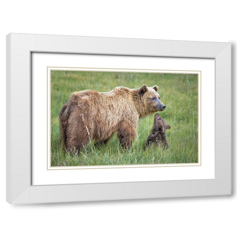 Bearable Adoration White Modern Wood Framed Art Print with Double Matting by C. Sink, Jeffrey