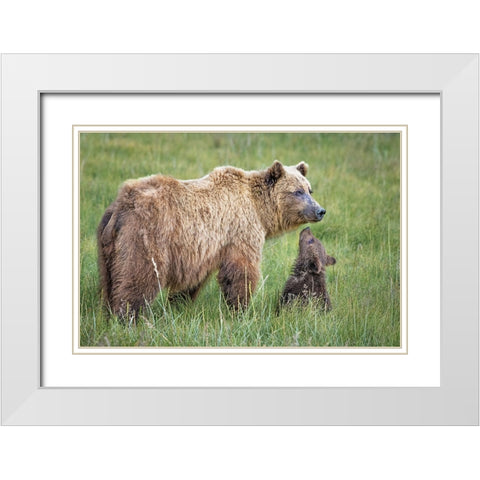 Bearable Adoration White Modern Wood Framed Art Print with Double Matting by C. Sink, Jeffrey