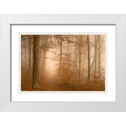 A year has gone White Modern Wood Framed Art Print with Double Matting by Maier, Norbert