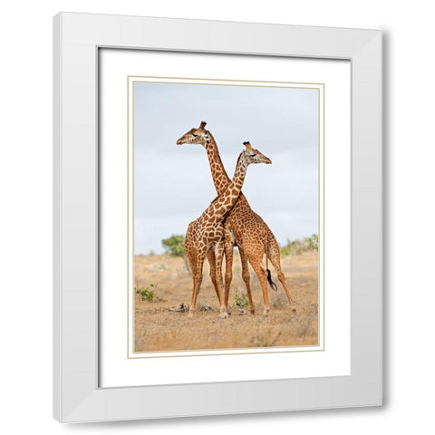 Necks White Modern Wood Framed Art Print with Double Matting by Pozzi, Marco